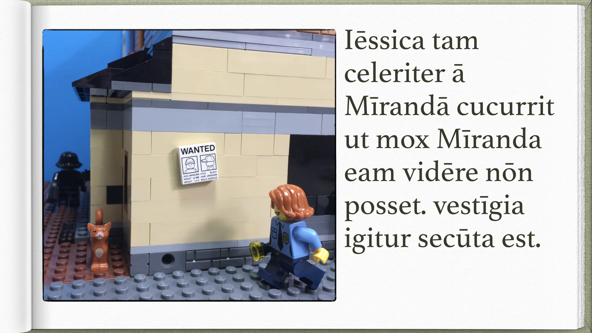 Legonium 6 post librum.023.jpeg