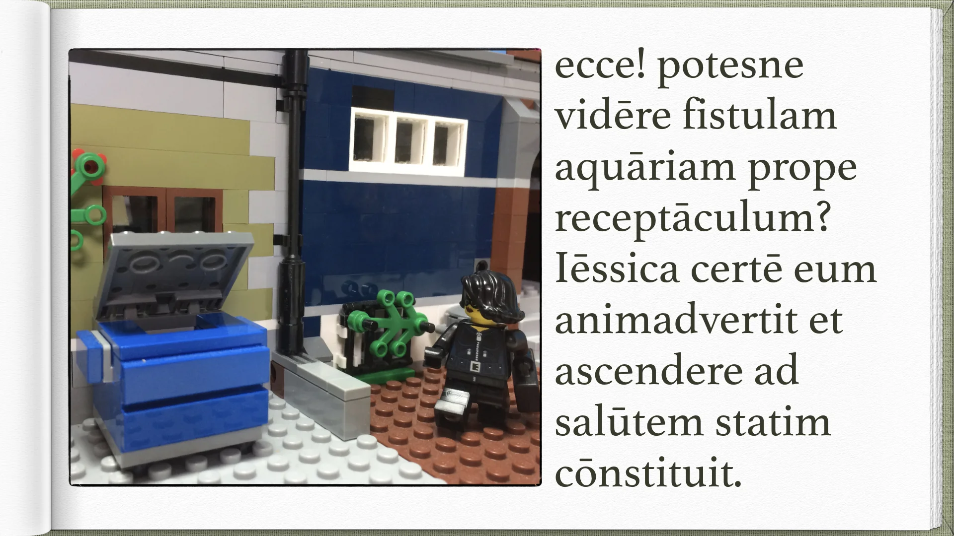 Legonium 6 post librum.024.jpeg