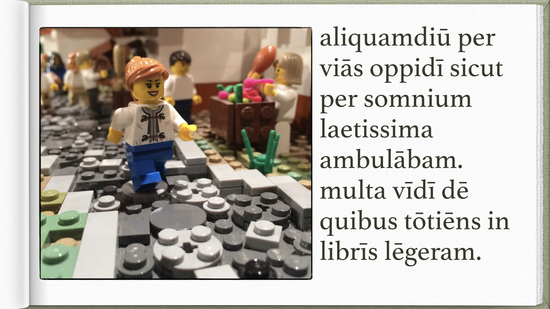 Legonium 7 post librum.008.jpeg