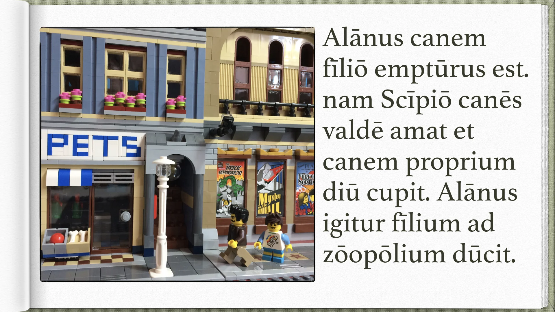 Legonium 8 post librum.017.jpeg