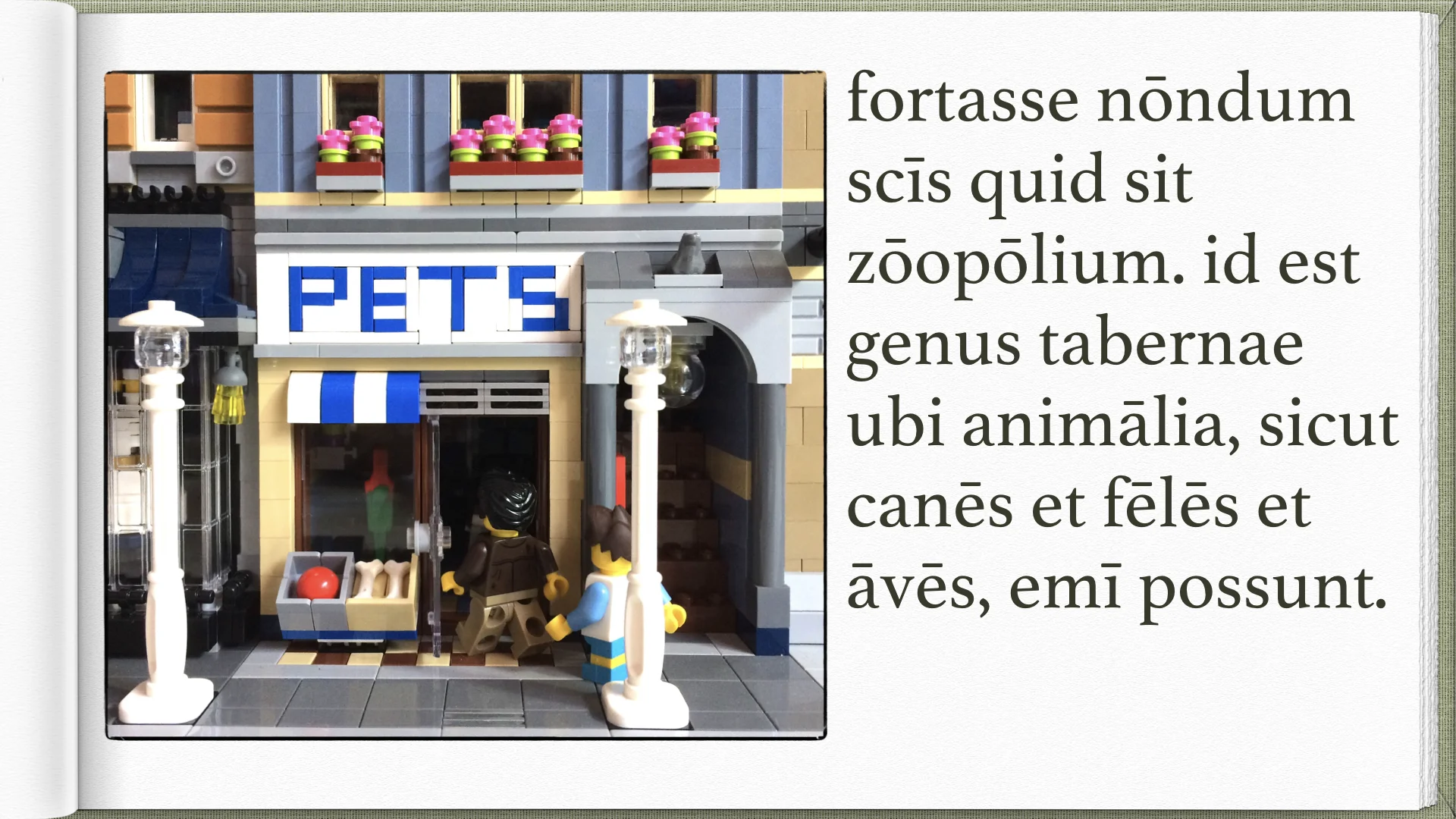 Legonium 8 post librum.018.jpeg