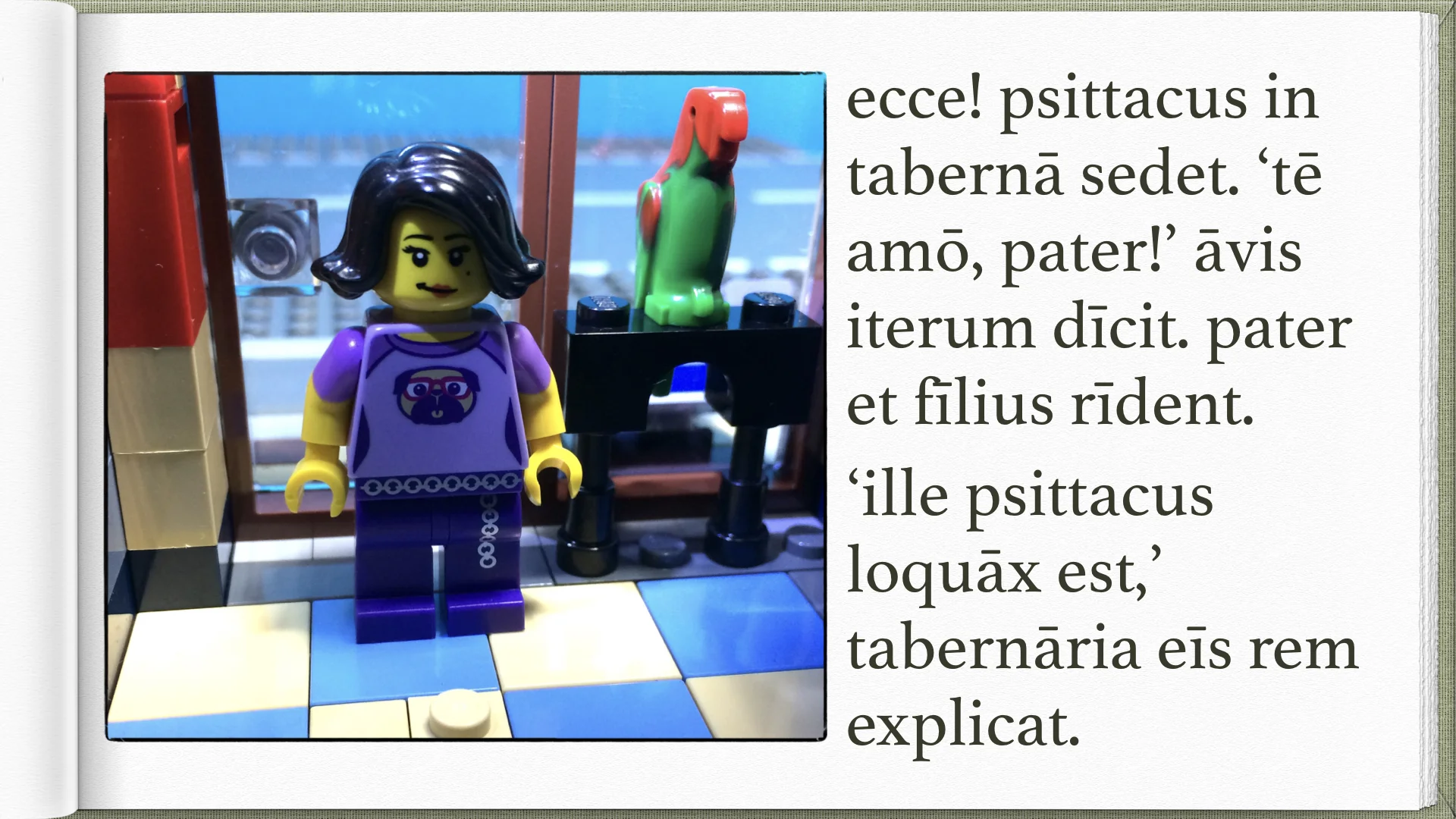 Legonium 8 post librum.021.jpeg