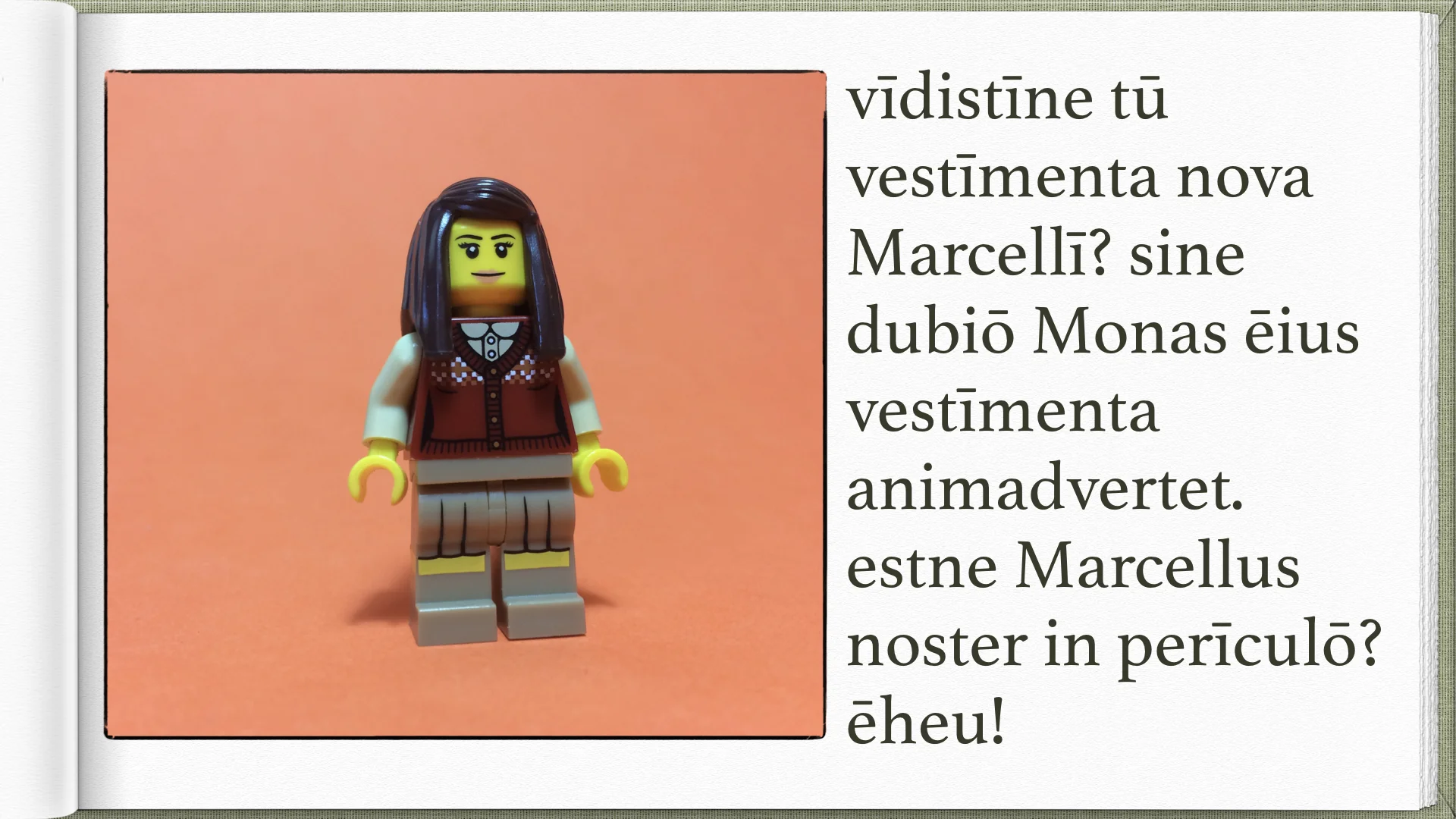 Legonium 8 post librum.028.jpeg
