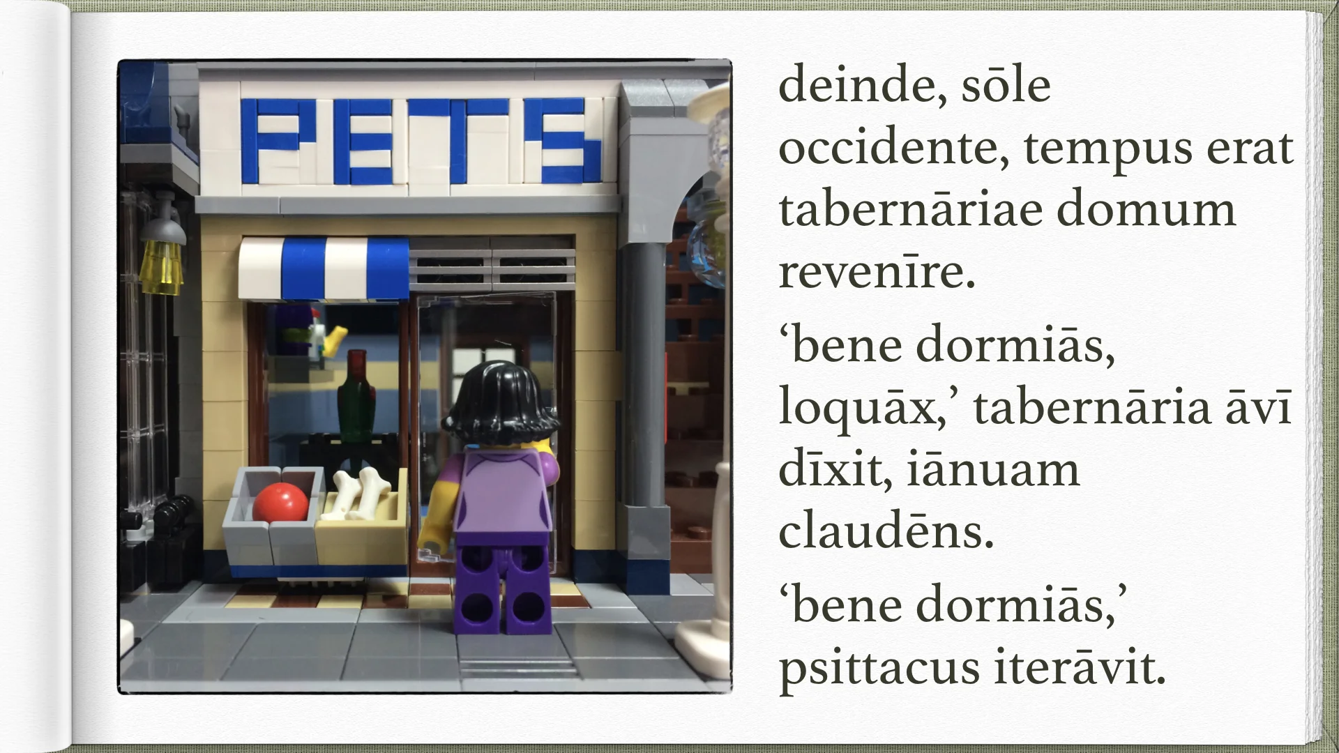 Legonium 9 post librum.004.jpeg