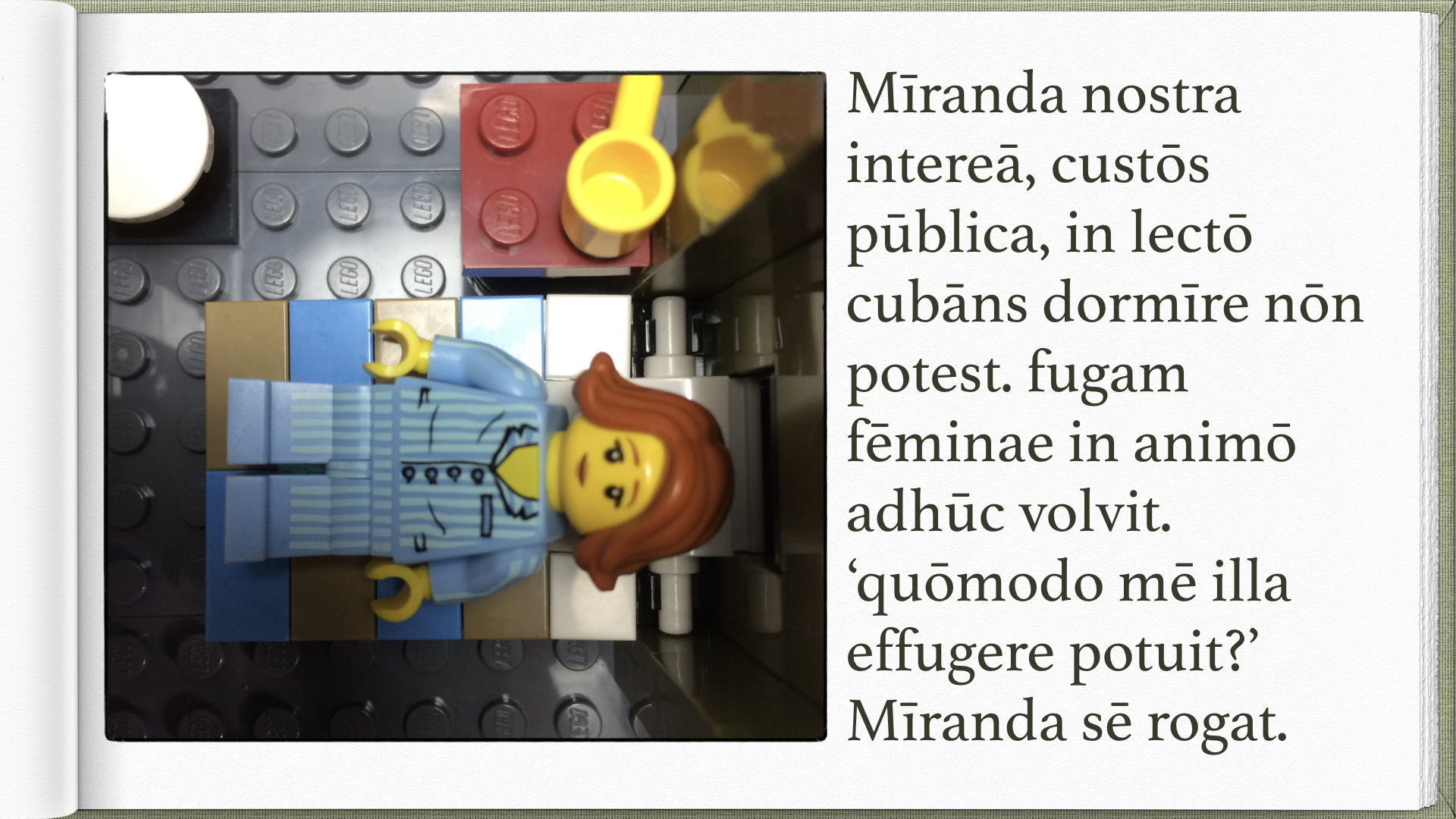 Legonium 9 post librum.016.jpeg