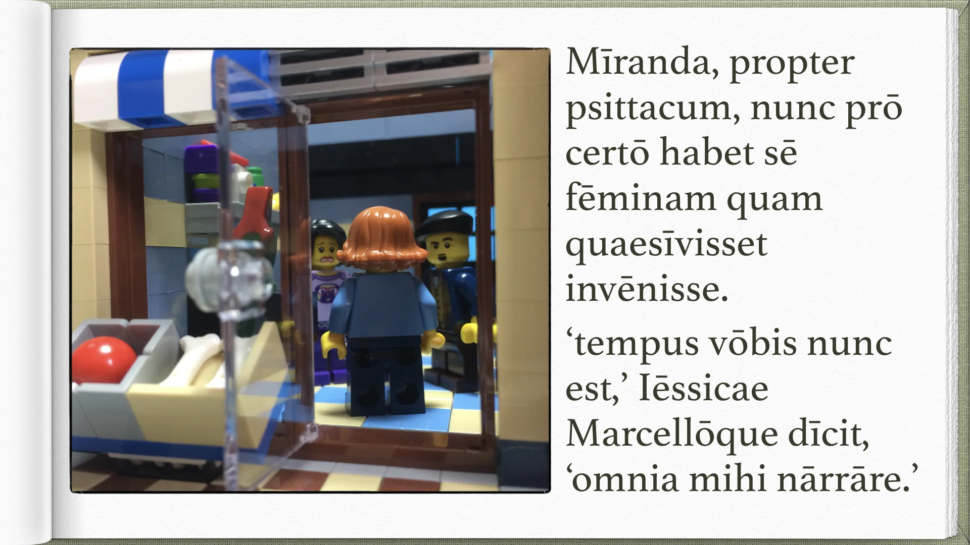 Legonium 10 post librum.003.jpeg