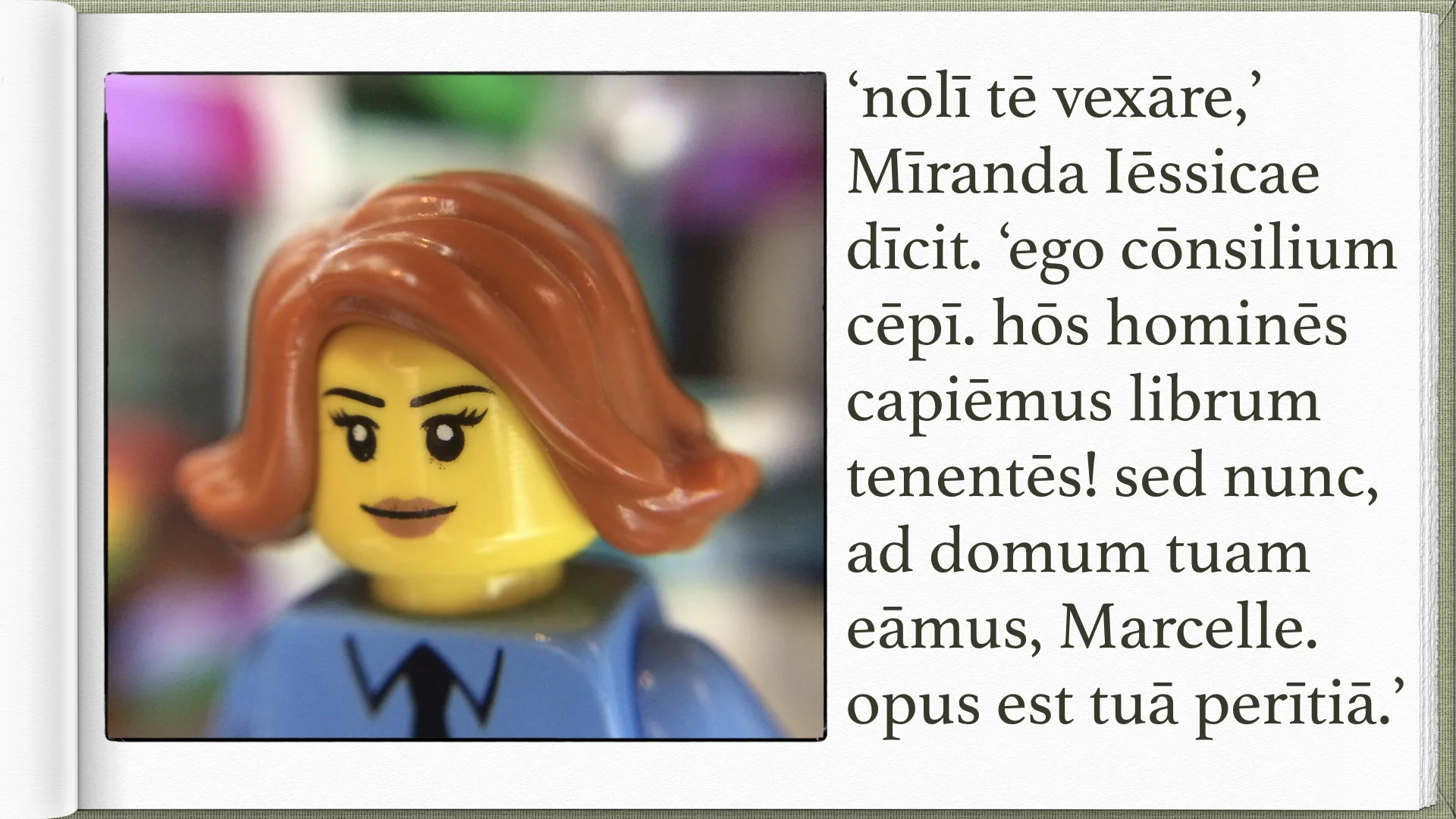 Legonium 10 post librum.022.jpeg