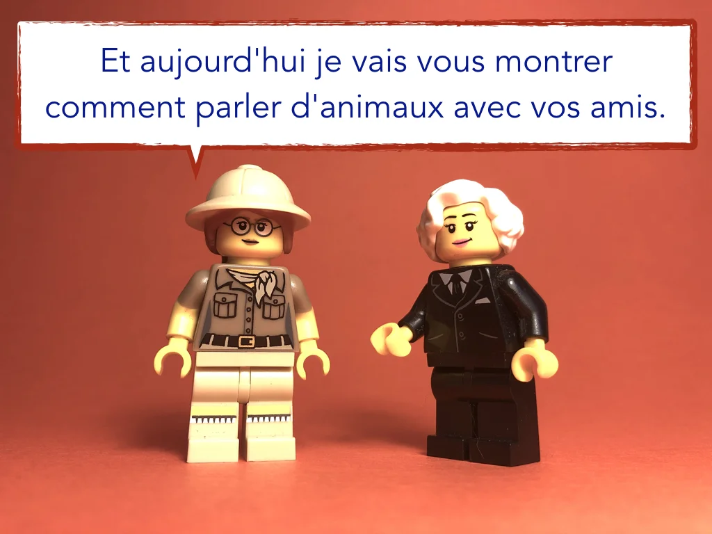 French Disco 4.010.jpeg