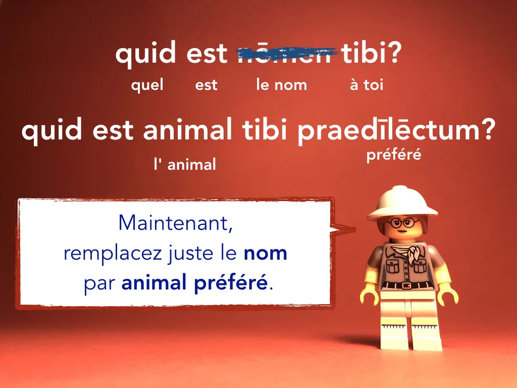 French Disco 4.015.jpeg