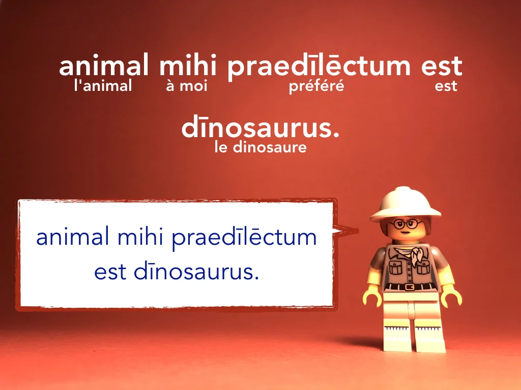 French Disco 4.017.jpeg