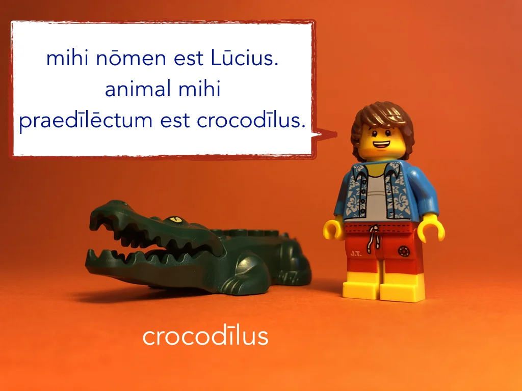 French Disco 4.034.jpeg