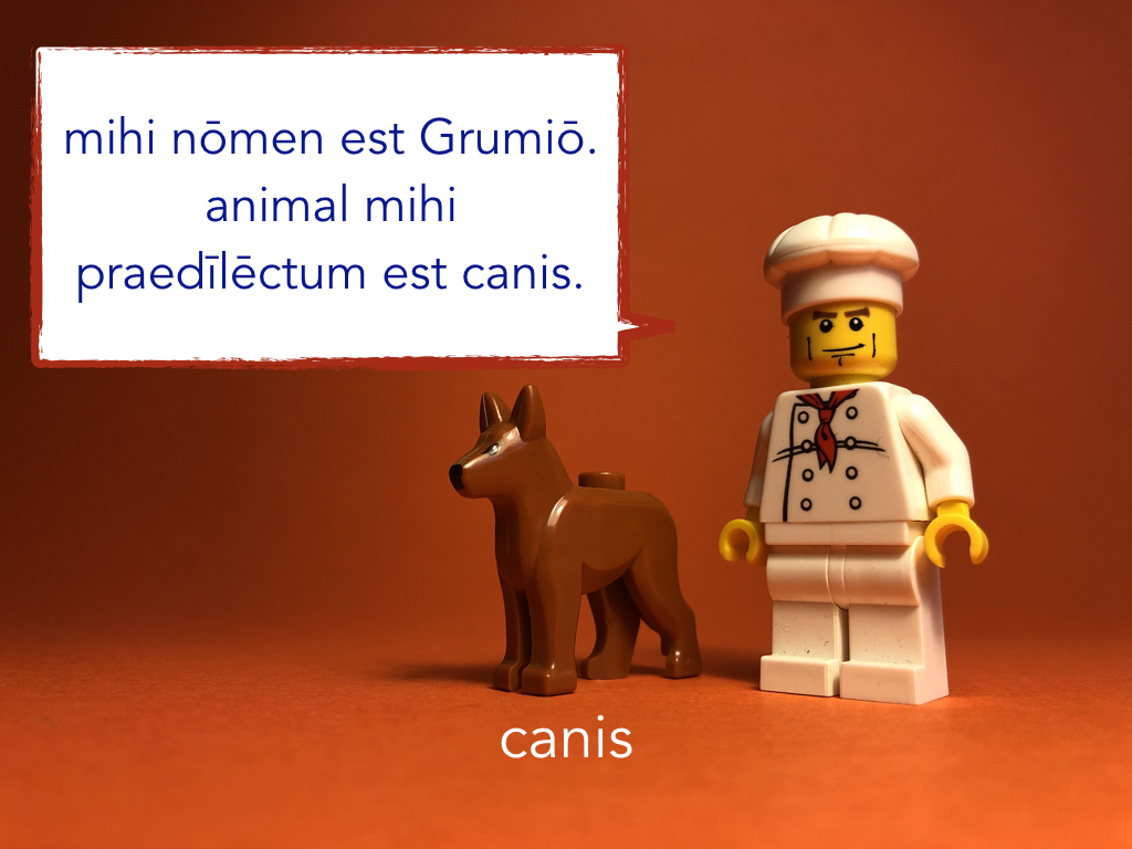 French Disco 4.036.jpeg