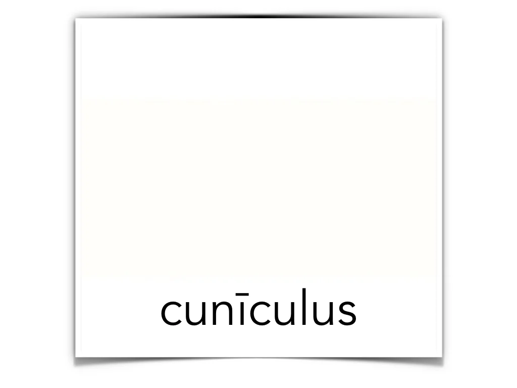 French Disco 4.044.jpeg