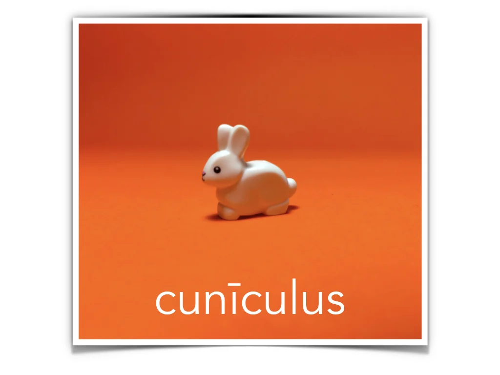 French Disco 4.045.jpeg