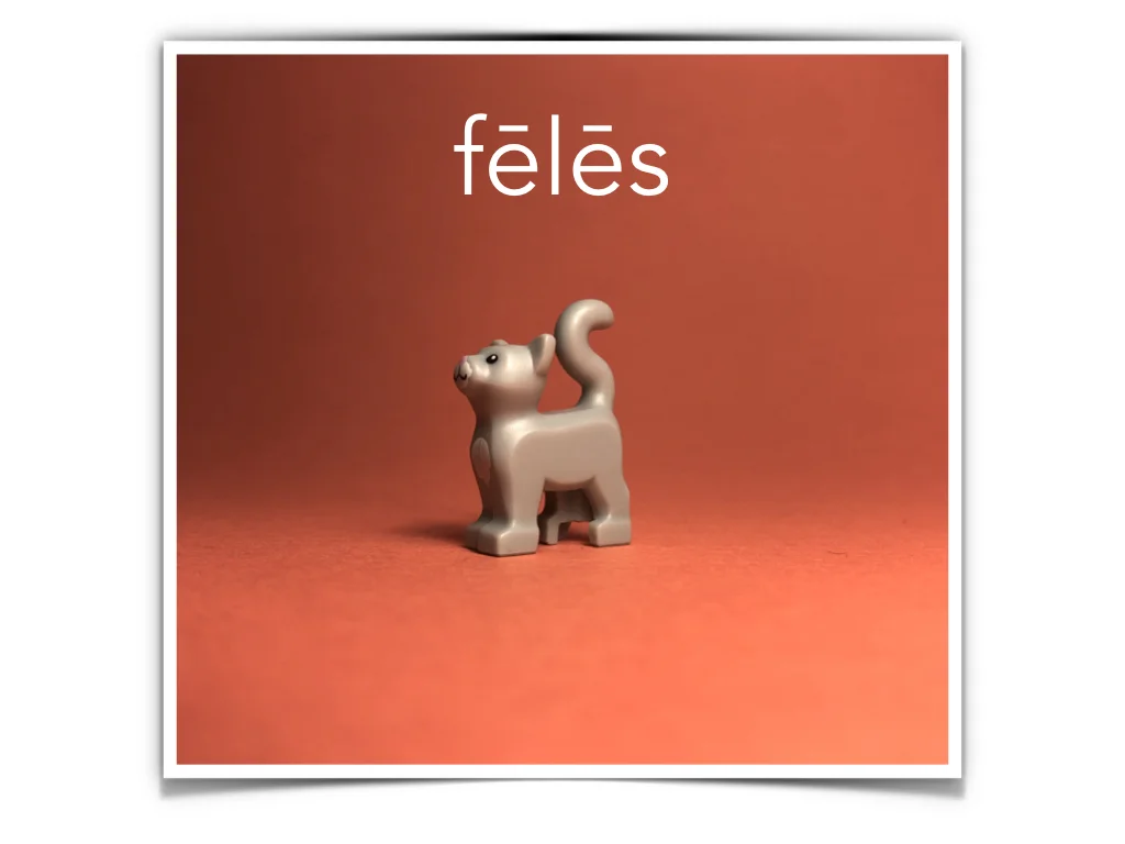 French Disco 4.047.jpeg