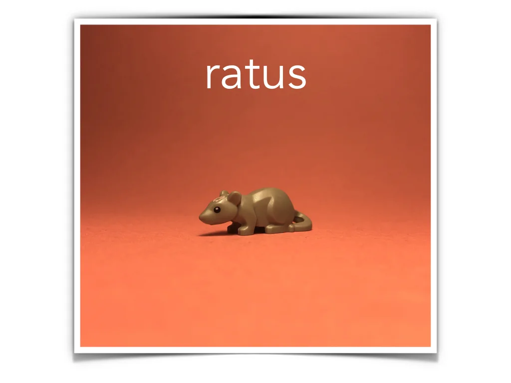 French Disco 4.059.jpeg