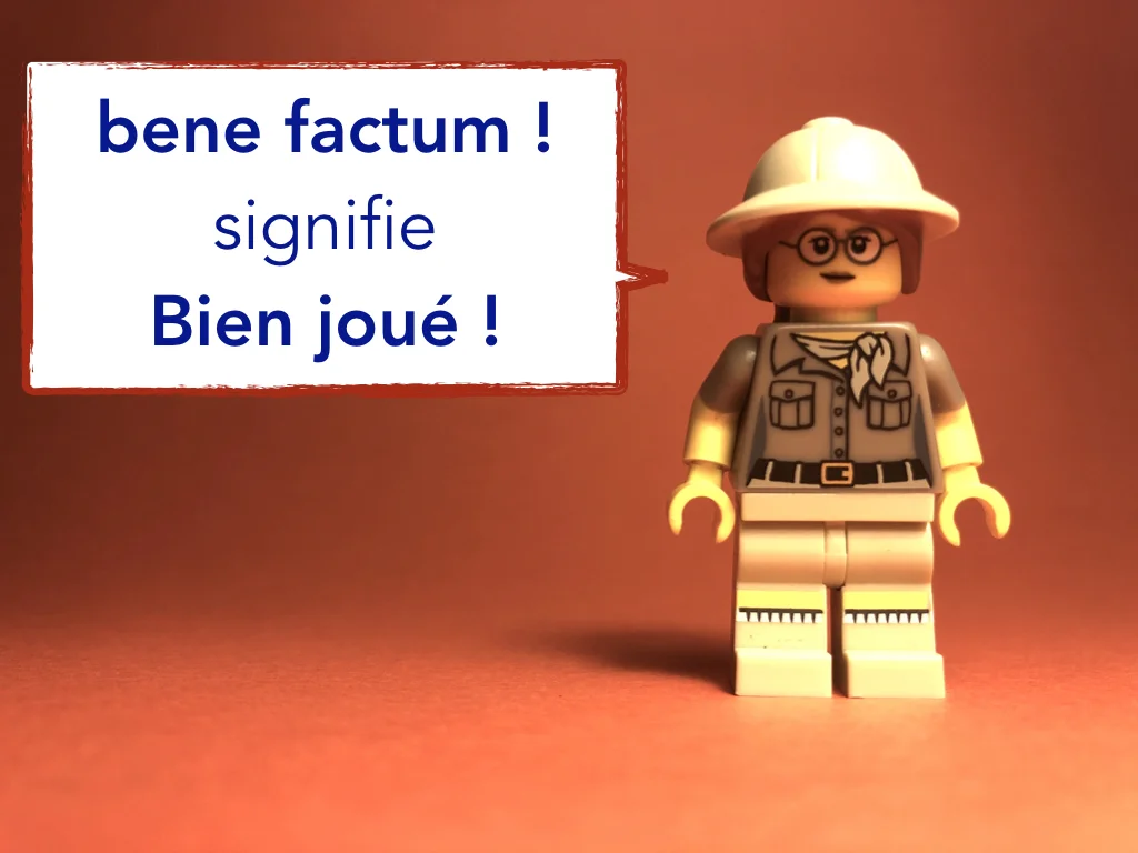 French Disco 4.061.jpeg