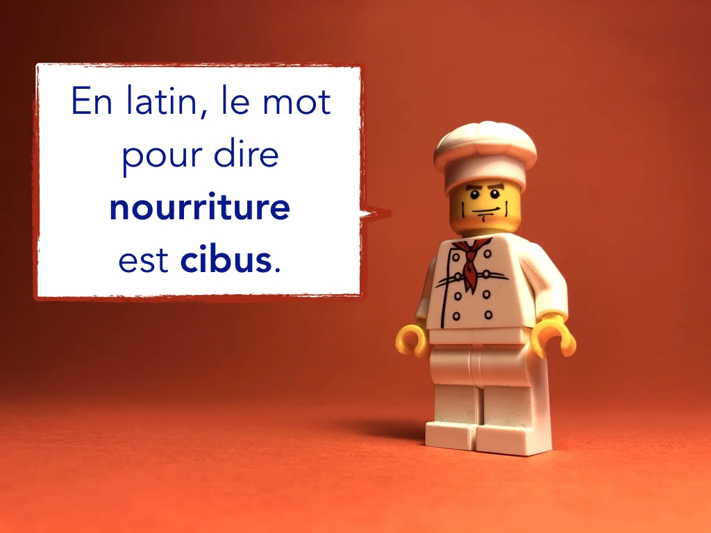 French Disco 5.014.jpeg