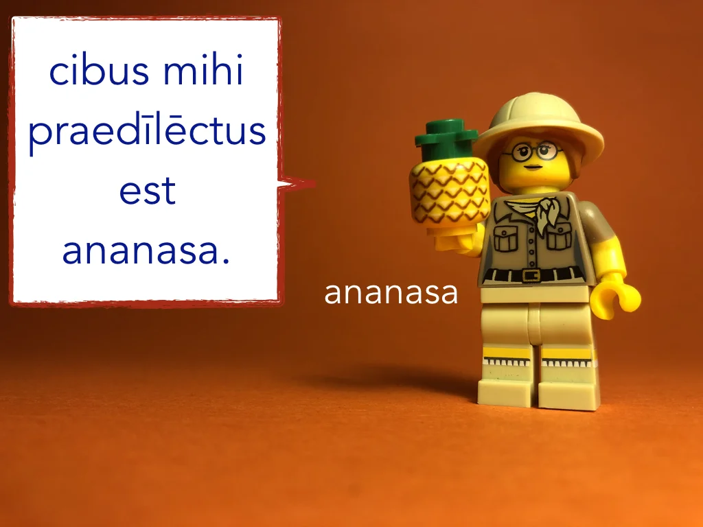 French Disco 5.023.jpeg