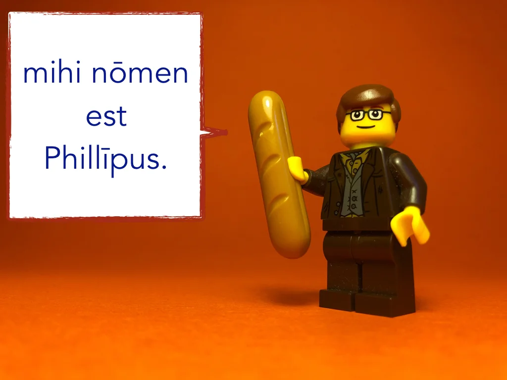 French Disco 5.032.jpeg