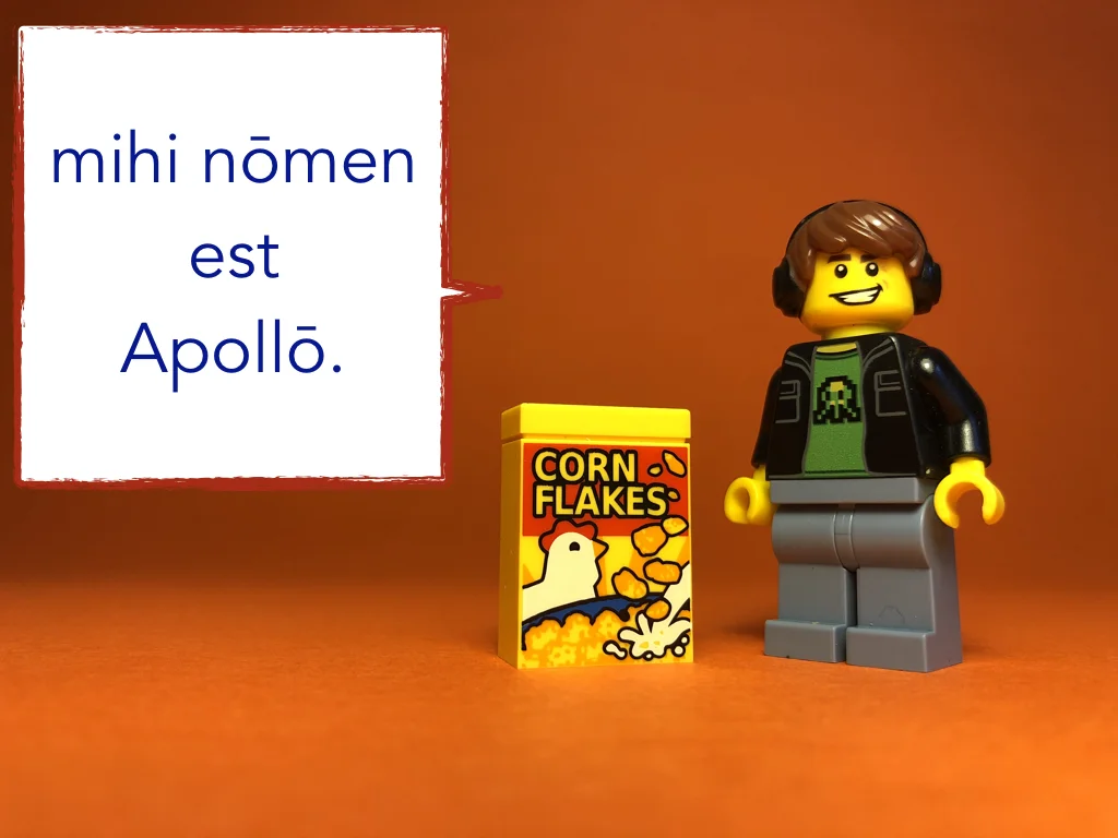 French Disco 5.036.jpeg