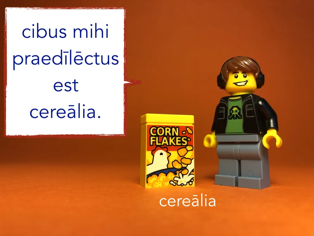 French Disco 5.037.jpeg