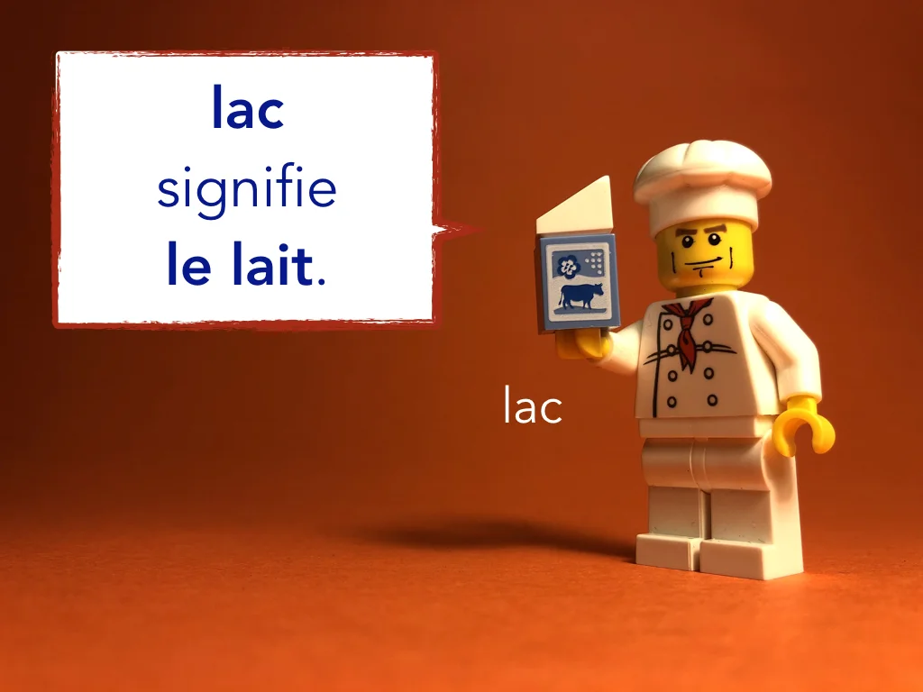 French Disco 5.043.jpeg