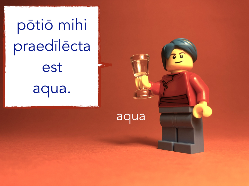 French Disco 5.050.jpeg