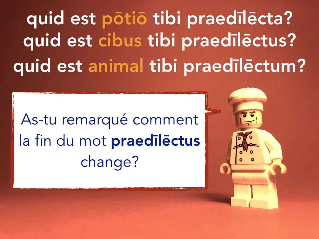 French Disco 5.057.jpeg