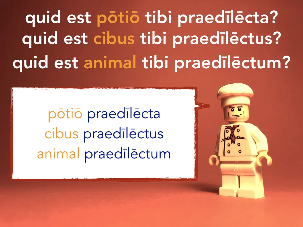 French Disco 5.058.jpeg