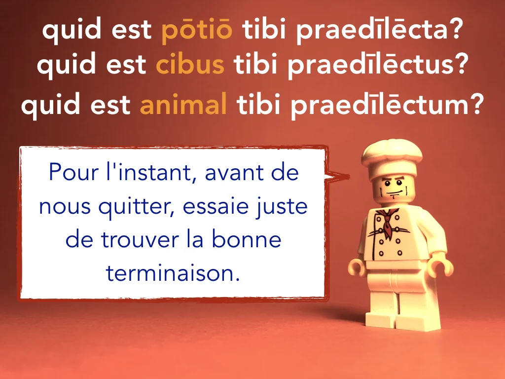 French Disco 5.060.jpeg