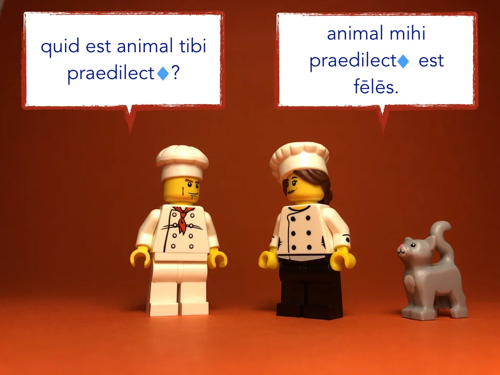 French Disco 5.066.jpeg