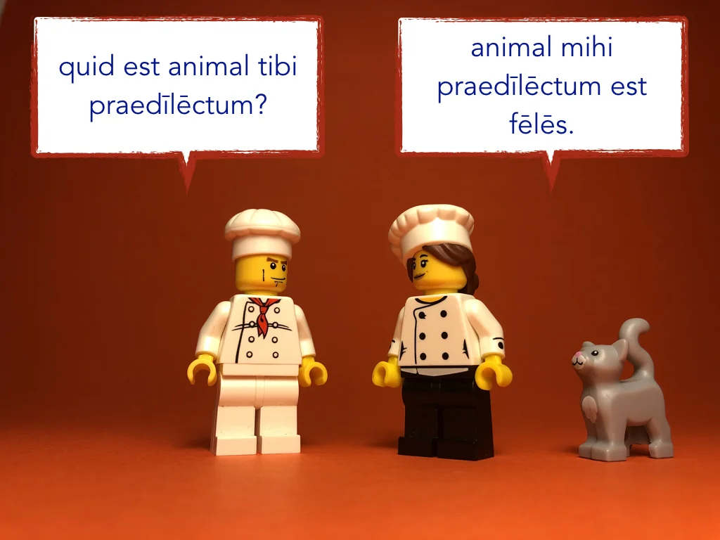 French Disco 5.067.jpeg