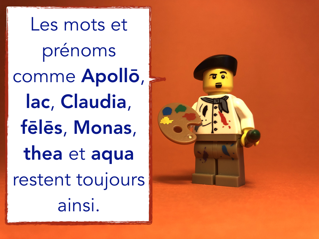 French Disco 6.036.jpeg