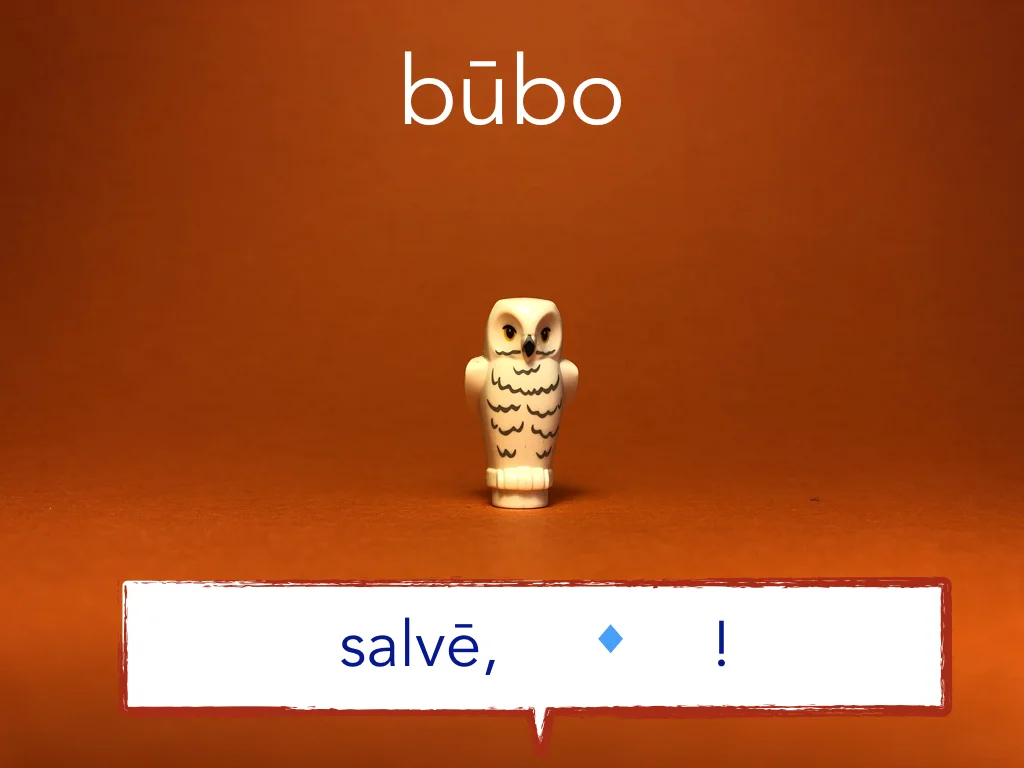 French Disco 6.041.jpeg