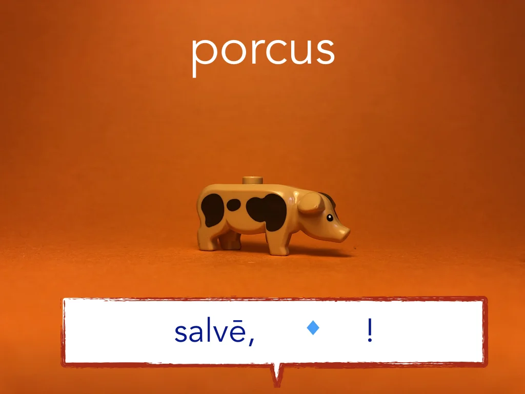 French Disco 6.043.jpeg