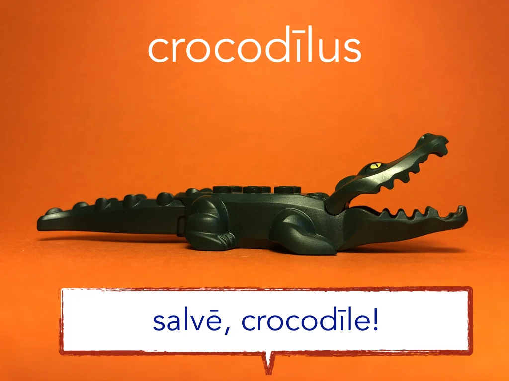 French Disco 6.048.jpeg