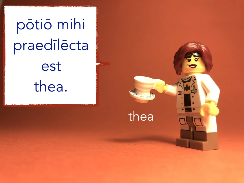 French Disco 7.004.jpeg