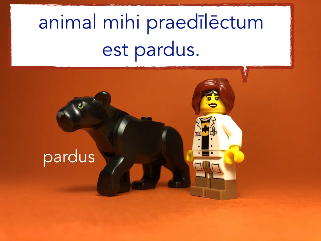 French Disco 7.006.jpeg