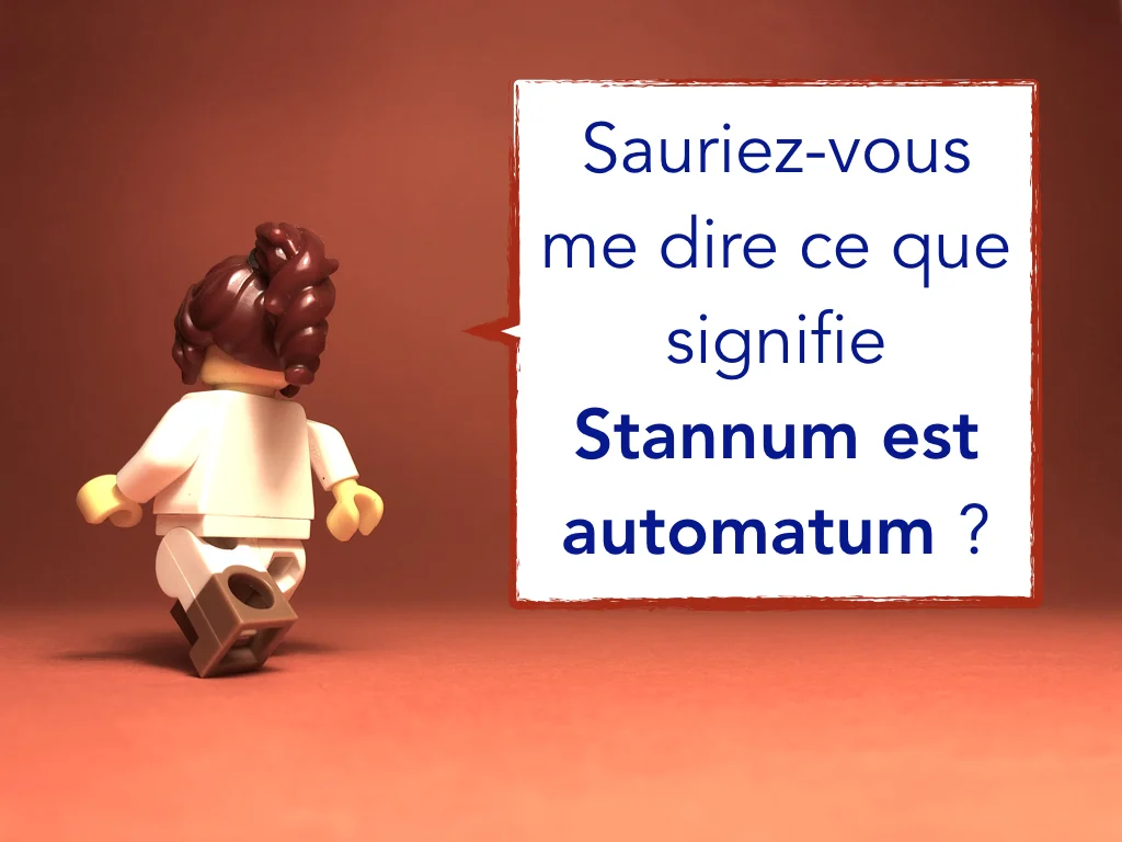 French Disco 7.018.jpeg