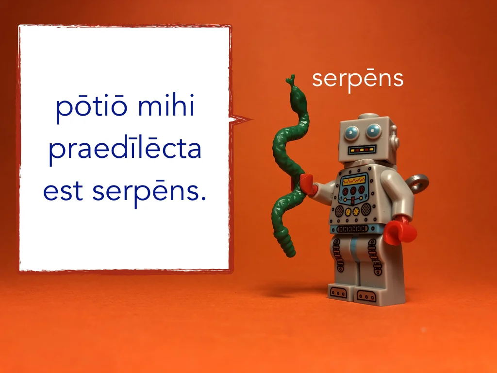 French Disco 7.040.jpeg