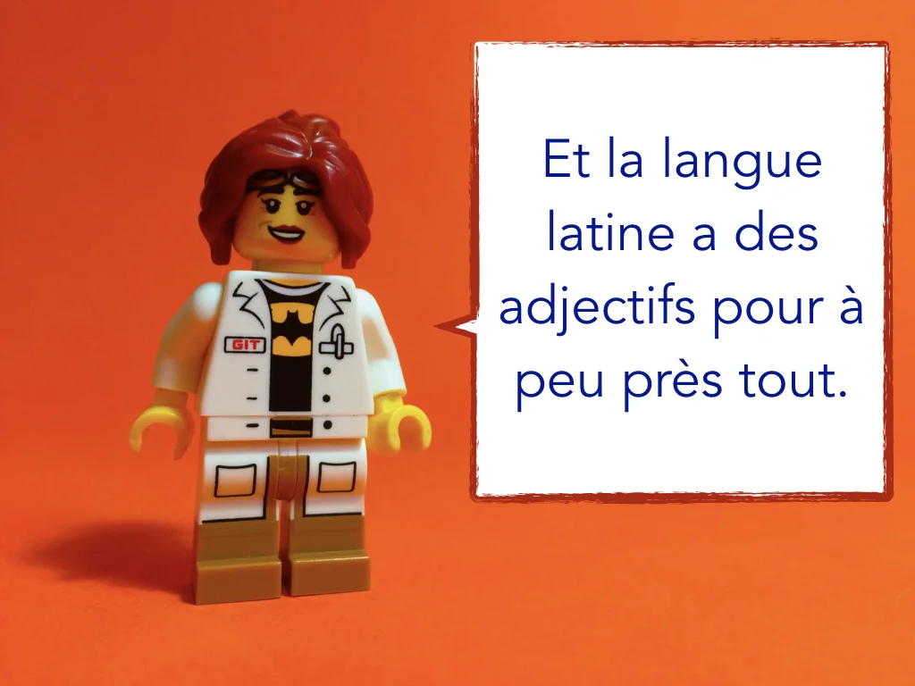 French Disco 7.047.jpeg