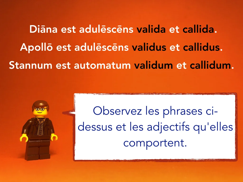 French Disco 8.040.jpeg