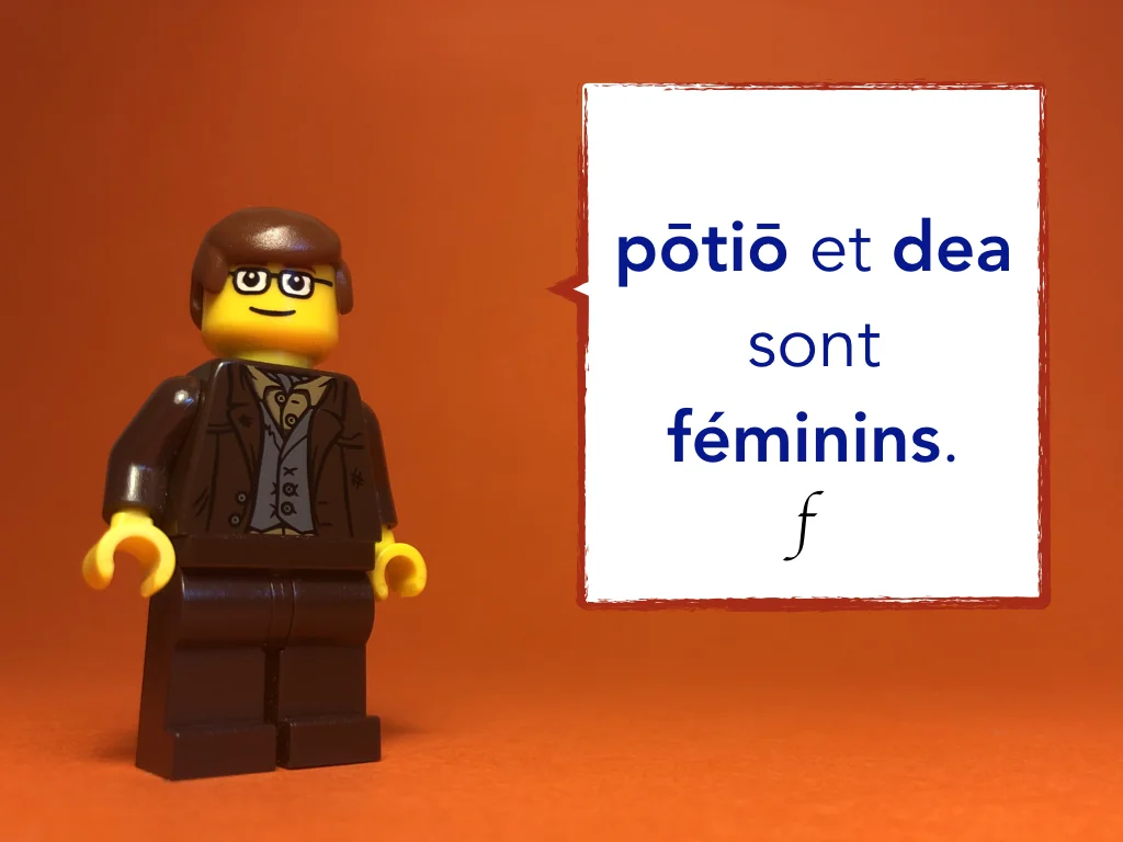 French Disco 8.046.jpeg