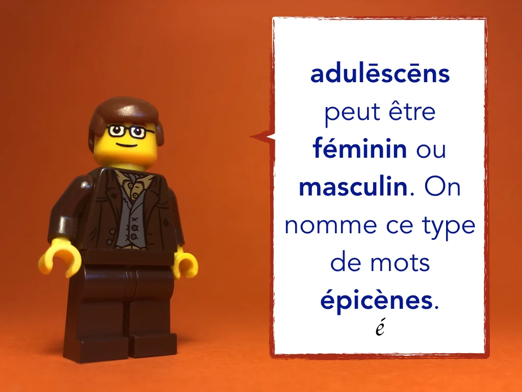 French Disco 8.048.jpeg