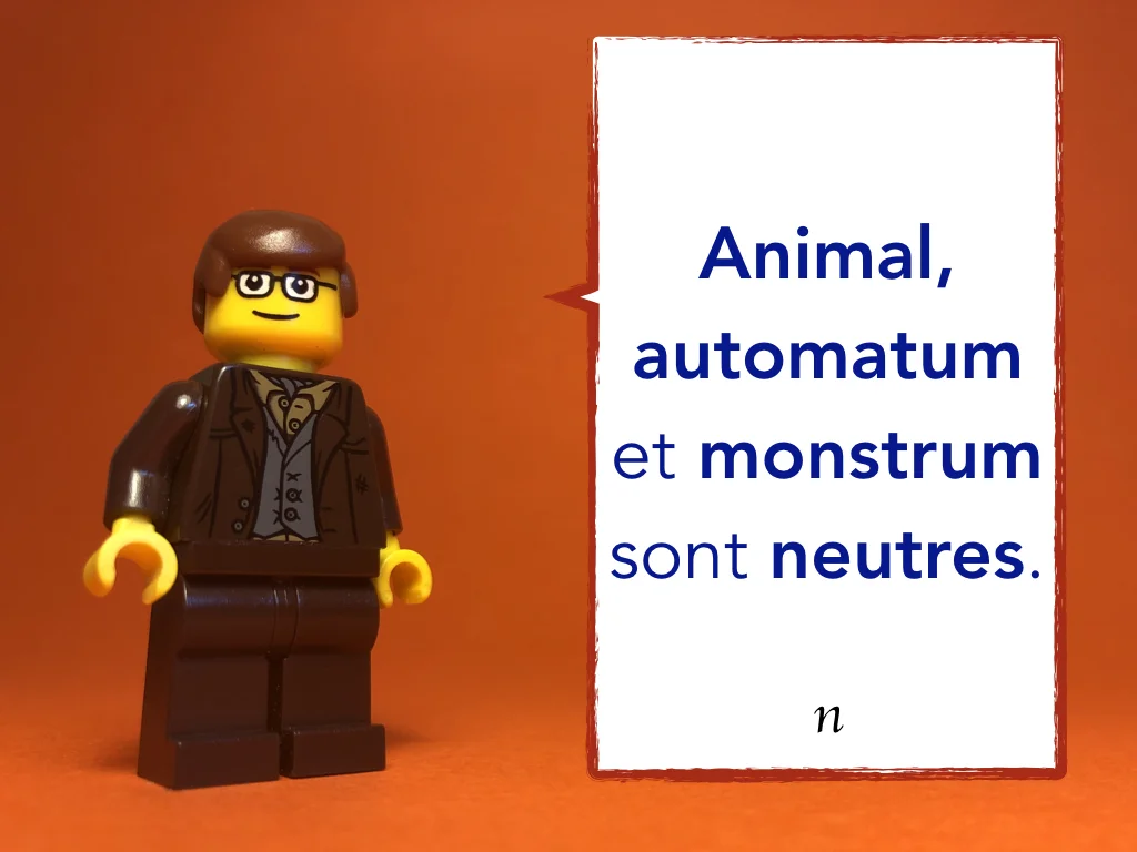 French Disco 8.049.jpeg