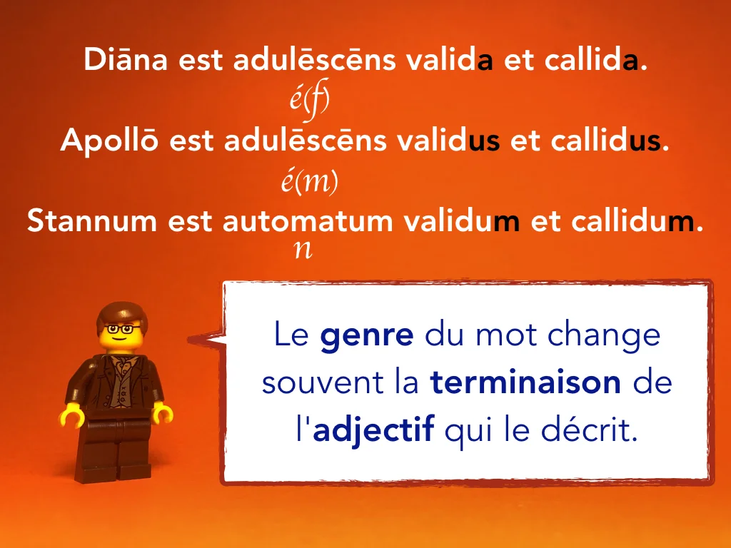 French Disco 8.051.jpeg