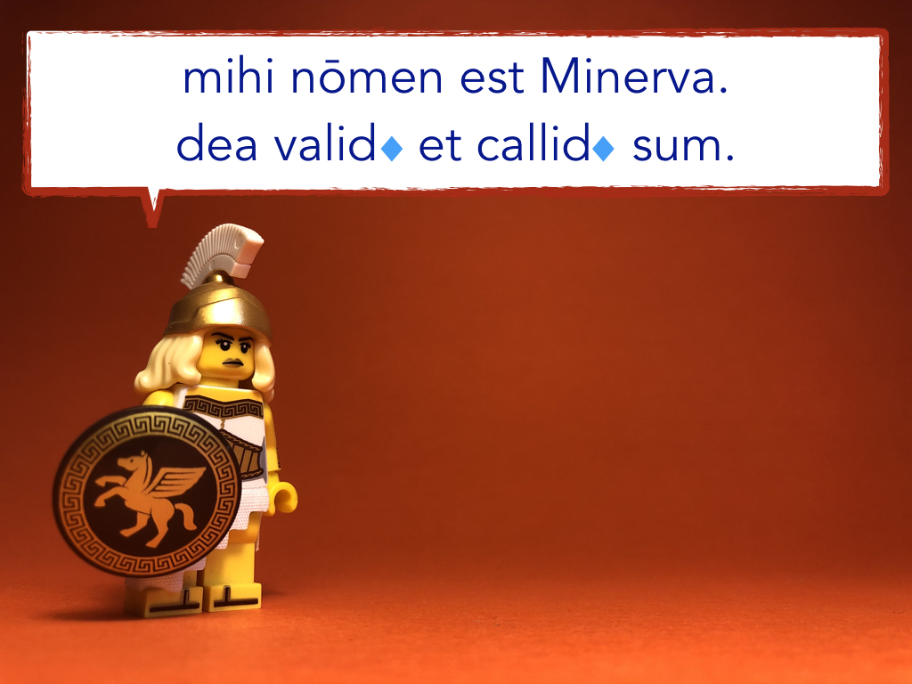 French Disco 8.053.jpeg