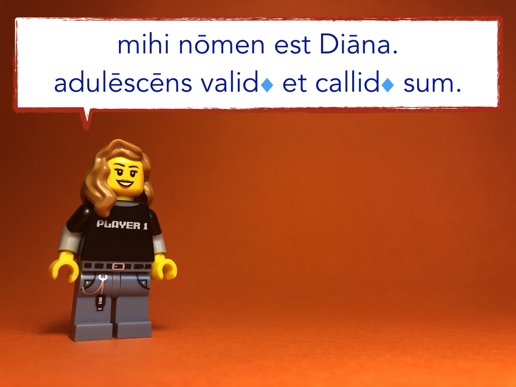 French Disco 8.055.jpeg