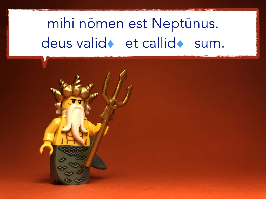 French Disco 8.057.jpeg